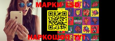 ГАЛЛЮЦИНОГЕННЫЕ ГРИБЫ Новозыбков