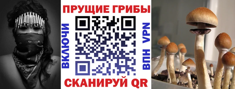 Псилоцибиновые грибы мухоморы  дарнет шоп  Югорск 