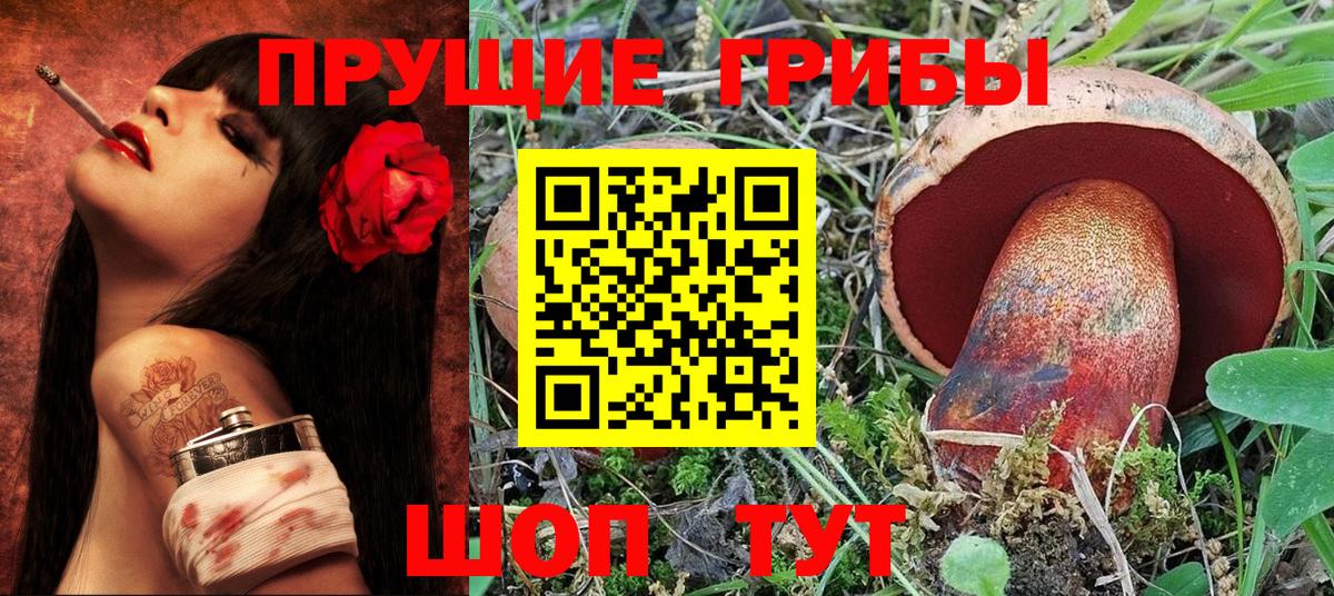 Галлюциногенные грибы Psilocybe Югорск